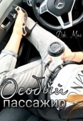 Особый пассажир (СИ)