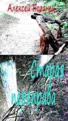 Старая переправа (СИ)