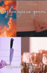 Возвращение домой (СИ)