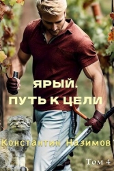 Ярый. Путь к цели (СИ)