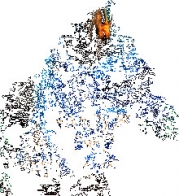 Замуж за короля? Ни за что! (СИ)