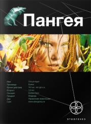 Пангея. Книга 2. Подземелье карликов