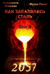 Как закалялась сталь - 2057. Том 3 (СИ)