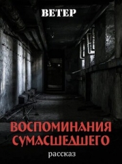 Воспоминания сумасшедшего (СИ)