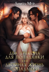 Два дракона для попаданки. Двойная жизнь попаданки (СИ)