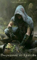 Последний из Братства. Открытый мир (СИ)