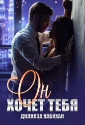 Он хочет тебя (СИ)