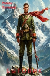 Бытовик (СИ)