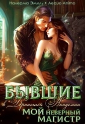 Бывшие в Драконьей Академии. Мой неверный Магистр (СИ)