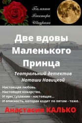 Две вдовы Маленького Принца (СИ)
