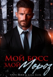 Мой босс - злой Мороз! (СИ)
