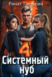 Системный Нуб 4 (СИ)