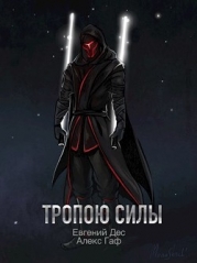 Тропою Силы (СИ)