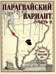 Парагвайский вариант. Часть 2 (СИ)