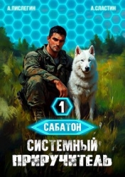 Системный приручитель 1 (СИ)