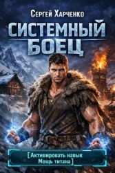 Системный Боец (СИ)