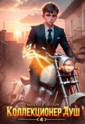 Коллекционер душ. Книга 4 (СИ)