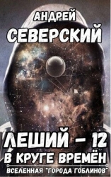 В круге времен (СИ)