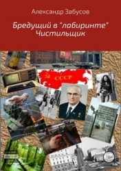 Бредущий в «лабиринте». Книга 2. Чистильщик (СИ)