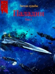 Паладин (СИ)