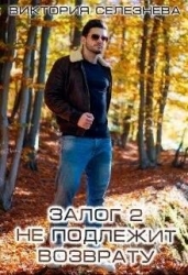 Залог 2. Не подлежит возврату (СИ)