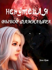 Непутёвая: Выбор Фамильяра (СИ)