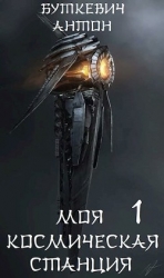 Моя космическая станция (СИ)